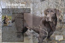 Jack Jagoda's article, The Right Dog, in The Sportsman's Magazine